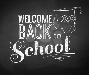 Back to School typographical background with owl. Chalkboard drawing. Vector illustration.
