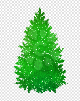 Christmas green spruce tree silhouette with glitter on transparency background.