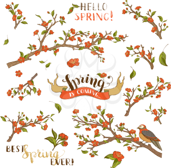 Red blossoms, leaves and bird on tree branches. Isolated on white background. Hand-written brush lettering. Best spring ever! Spring is coming. 