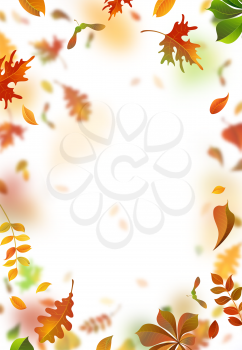 A lot of falling leaves on white background. Vertical backdrop. Oak, rowan, maple, chestnut and aspen leaves.