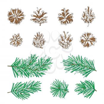 Pine needles and cones. Vector nature illustration. Christmas design elements.