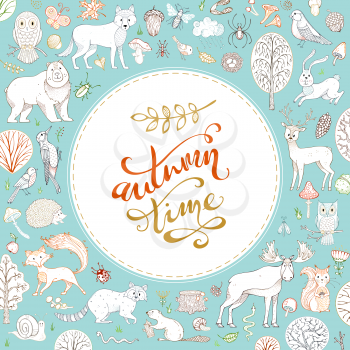 Cute forest animals made in outlined style. Elk, fox, wolf, owl, rabbit, bear, deer, squirrel, hedgehog, racoon and other mammals and birds. Autumn trees and bushes.