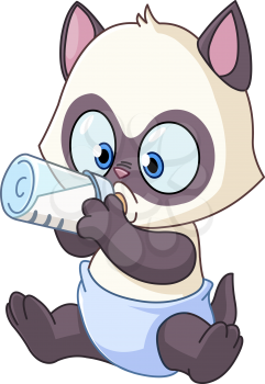 Baby Siamese kitten drinking milk from bottle