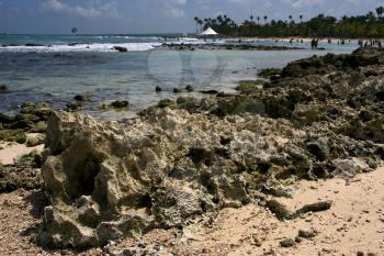 beach rock and stone cabin and palm in  republica dominicana