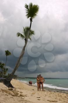  ocean coastline tree and tree in  republica dominicana