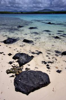 some stone in the island of deus cocos in mauritius