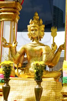  siddharta  in the temple bangkok asia   thailand abstract cross        step    wat   palaces   