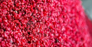 in iran factory of dried cranberries lots of vitamin and fresh nutrition