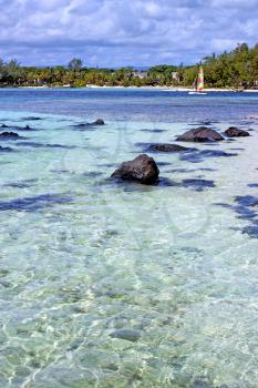  beach seaweed in indian ocean madagascar  people   sand isle      sky    and rock