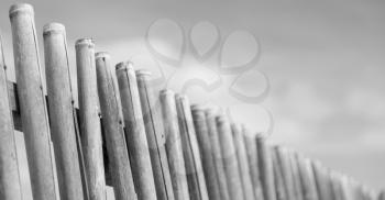 blur  in  philippines  lots bamboo stick for a natural fence and cloudy sky