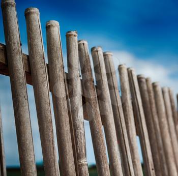blur  in  philippines  lots bamboo stick for a natural fence and cloudy sky