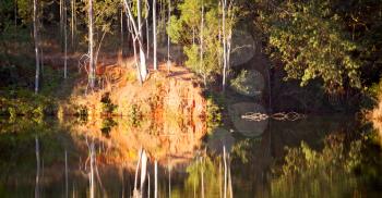 in lesotho mlilwane wildlife santuary the pound lake and  tree reflection in water