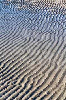 in australia Whitsunday  Island and the texture abstract of the white beach