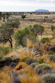 in  australia the concept of wilderness environment in the landscape outback