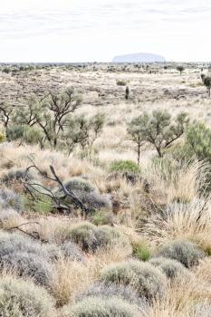 in  australia the concept of wilderness environment in the landscape outback