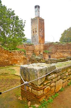chellah  in morocco africa the old roman deteriorated monument and site
