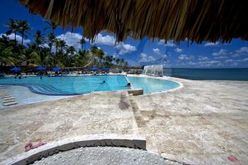 republica dominicana pool tree palm  peace marble and relax near the caribbean beach