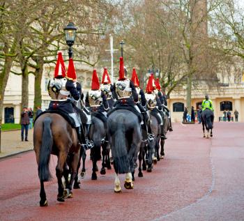 in london england horse and cavalry for       the queen