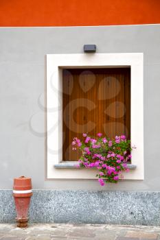  cavaria varese italy abstract  window      wood venetian blind in the concrete orange
 