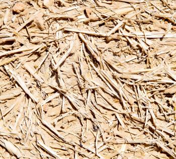 cracked sand in morocco africa desert abstract macro