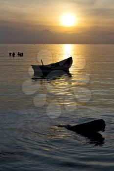 asia in the  kho phangan bay isle sunset sun   thailand  and south china sea  