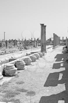 stone     in  perge construction asia turkey and  roman temple 