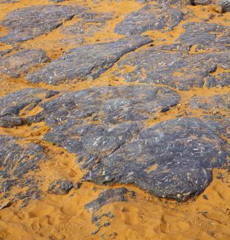  old fossil in  the desert of morocco sahara and rock  stone sky