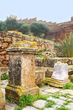 chellah  in morocco africa the old roman deteriorated monument and site
