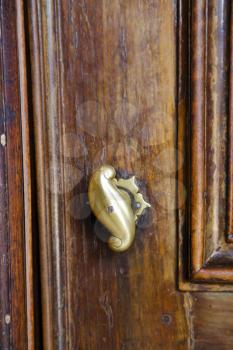  abstract  house door    in italy   lombardy   column  the milano old       closed nail