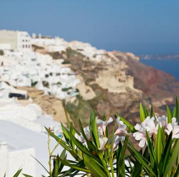 in    europe    vacation     cyclades santorini old town white and the sky