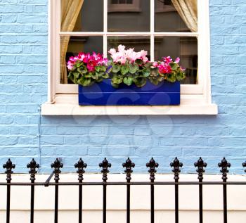 notting hill in london england old suburban and antique  flowers