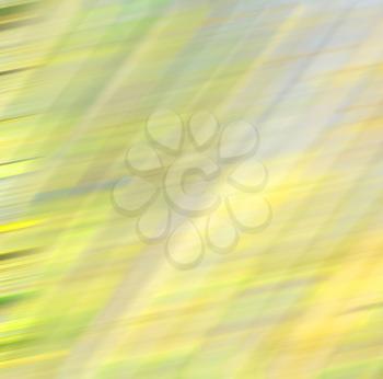 background     texture bamboo woothe abstract colors and blurred  backgroundd and plant in the abstract 