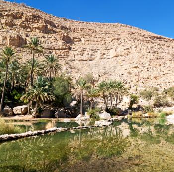   oman old mountain and water in canyon wadi oasi nature paradise