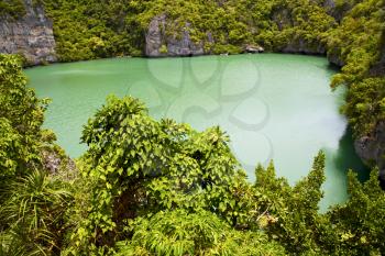 south china sea thailand kho tao bay abstract of a green lagoon and water  

