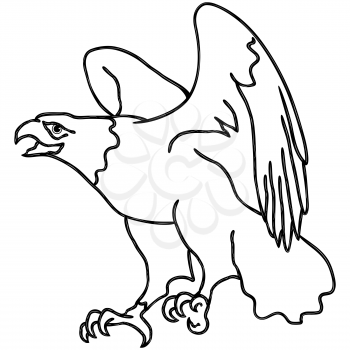 Hawk with outstretched wings during landing, cartoon vector outline