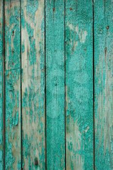 Fragment the shield of parallel vertical old wooden boards painted in green