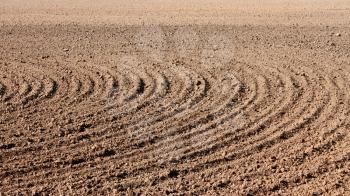 Parallel curved furrows on autumn field that prepared for the next season
