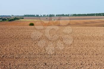 Rural landscape. Field near the village. Late summer or early autumn
