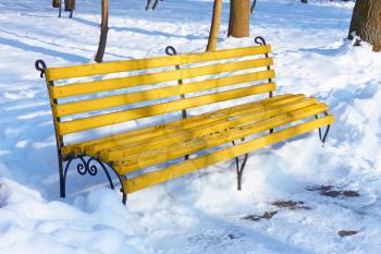 Yellow wooden bench among the snowbanks in winter park on a sunny fine day 