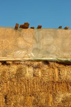 Big pile of straw covered with polyethylene film from above