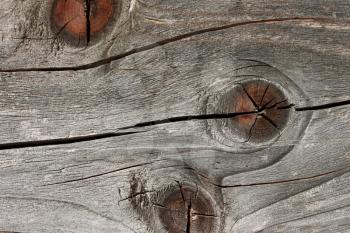 Detail of old wooden board with annual rings, cracked and faded surface, close up