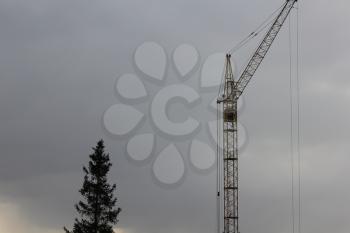 Construction crane and tree on cloudy sky background 1337