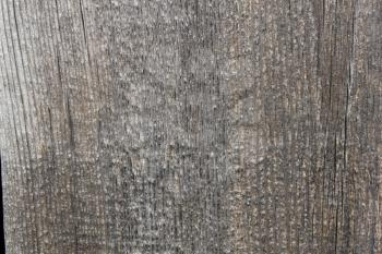 Pattern of the old dry pine boards 20426