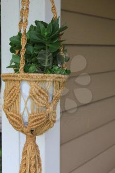 Hanging baskets of flowers at the front porch 8223