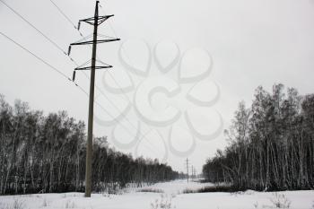 Power lines in winter woods 30100