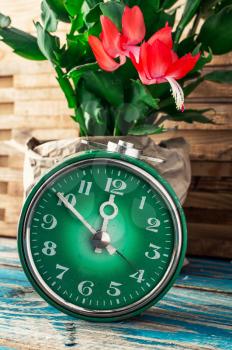 symbol of spring green clock and blossoming flower.Image is tinted in vintage style