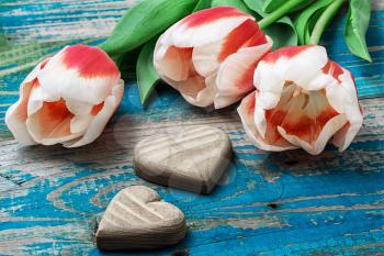 hand-carved symbolic wooden heart on a background red white Tulip