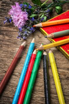 set of colored pencils and wildflowers on wooden unhewn background.Selective focus