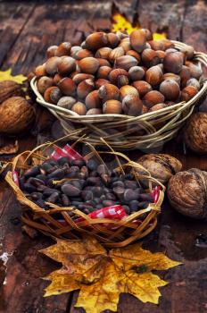 Still life with autumn harvest walnuts on wooden background