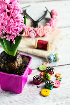 Pink hyacinth and tools for making jewelry for spring